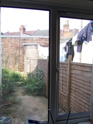 The view from my window