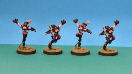Elf Catchers